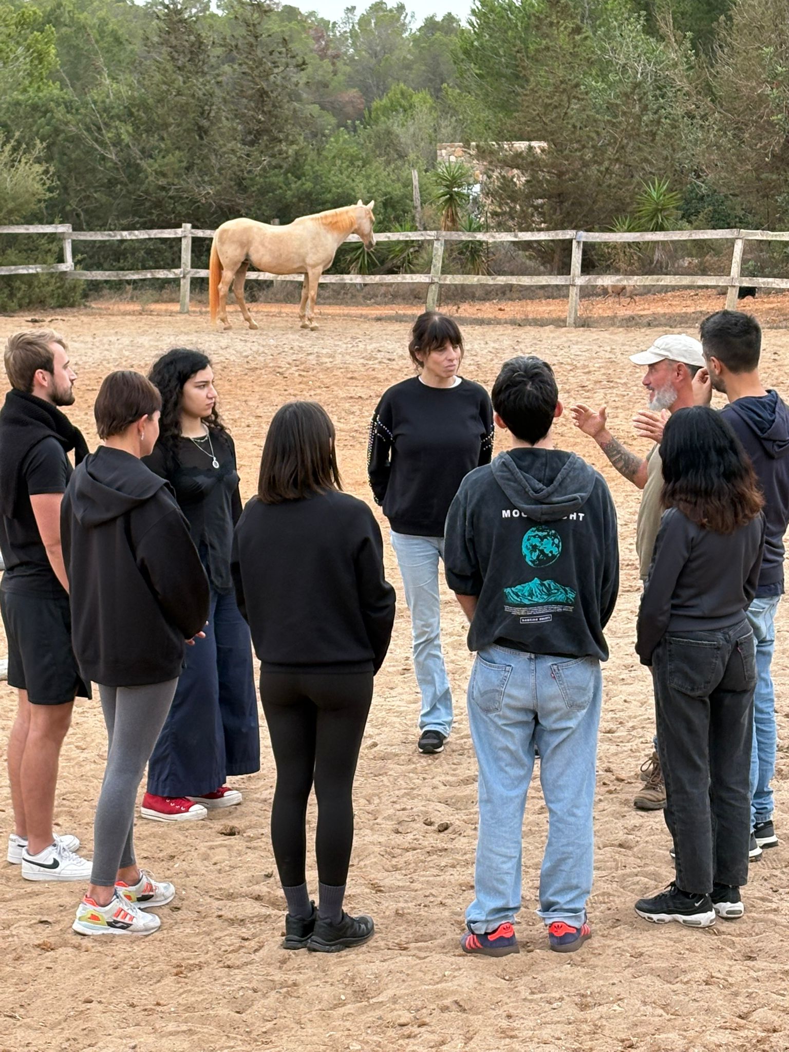 Conexión humana con caballos