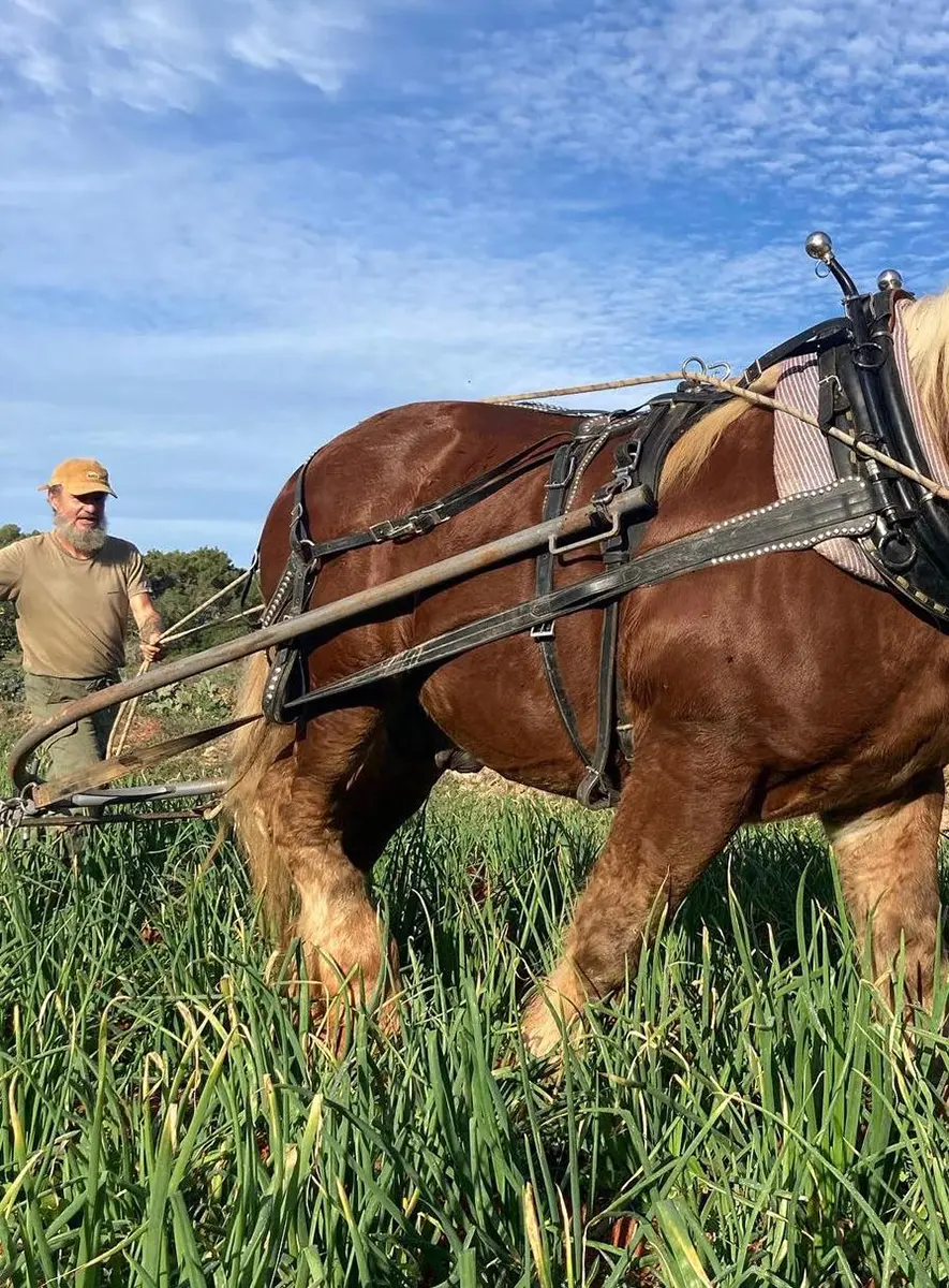 Trabajo en pendientes pronunciadas